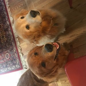 Meet your Posher, Lynn